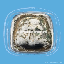 พระปิดตาผงกระดูกผีวัดโพธิ์ ปี2485 พิมพ์นิยม