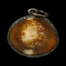 เบี้ยแก้หลวงพ่อไพล วัดบางแคกลาง มีจารย์