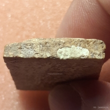 พระสมเด็จบางขุนพรหม พิมพ์อกครุฑเศียรบาตร