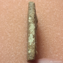 พระสมเด็จบางขุนพรหม พิมพ์อกครุฑเศียรบาตร