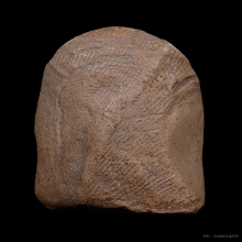 พระคงลำพูน กรุเก่า เนื้อดิน สภาพสวยเดิมๆ