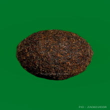 เม็ดยาจินดามณี