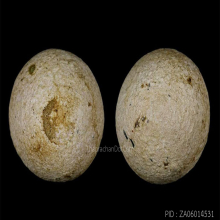 ลูกอมหลวงพ่อคง วัดบางกะพ้อม จ.สมุทรสงคราม