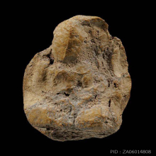 พระเชตุพน พิมพ์หน้าโหนก กรุวัดมหาธาตุ จ.สุโขทัย