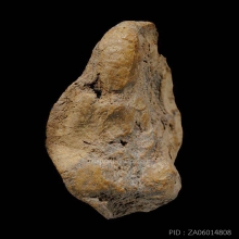 พระเชตุพน พิมพ์หน้าโหนก กรุวัดมหาธาตุ จ.สุโขทัย