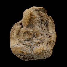 พระเชตุพน พิมพ์หน้าโหนก กรุวัดมหาธาตุ จ.สุโขทัย