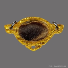 ยันต์โสฬสเนื้อเงินหลังหนังเสือ หลวงพ่อชำนาญ วัดบางกุฎีทอง