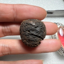 หมากทุย หลวงปู่เฒ่า (เอี่ยม) วัดหนัง