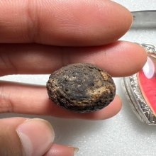 หมากทุย หลวงปู่เฒ่า (เอี่ยม) วัดหนัง