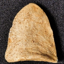 พระสาม กรุวัดดอนแก้ว (หลวงปู่โต๊ะ)