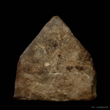 พระนาคปรกสามองค์ พระตรีกาย กรุวัดเจดีย์ราย จ.สุโขทัย