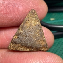 นางพญาพิษณุโลก พิมพ์เทวดา