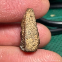 นางพญาพิษณุโลก พิมพ์เทวดา