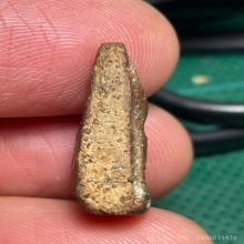 นางพญาพิษณุโลก พิมพ์เทวดา