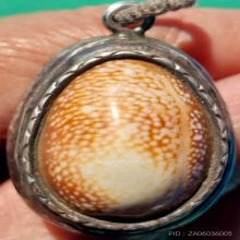 เบี้ยแก้ ลพ.คำ วัดโพธิ์ปล้ำ เขย่าได้ยินเสียงปรอท