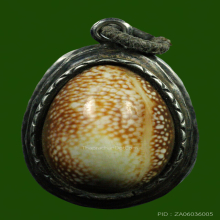 เบี้ยแก้ ลพ.คำ วัดโพธิ์ปล้ำ เขย่าได้ยินเสียงปรอท