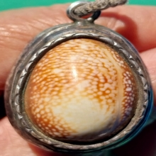 เบี้ยแก้ ลพ.คำ วัดโพธิ์ปล้ำ เขย่าได้ยินเสียงปรอท