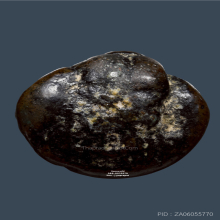 พระปิดตาข้าวต้มมัด หลวงพ่ออิ่ม วัดหัวเขา