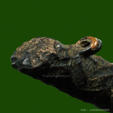 ตะกรุดไม้รวก ยาว 3 นิ้ว มีห่วงทองแดงเก่า