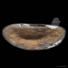 พระบูชารัชกาล