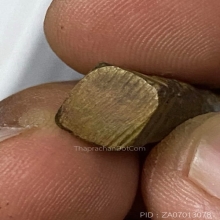 พระสิวลี พิมพ์เล็ก หลวงพ่อแฉ่ง วัดบางพัง