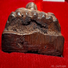 หลวงพ่อทวด  รุ่น 100 ปี อาจารย์ทิม  เนื้อนวโลหะ กรรมการ 