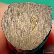 ลพ.ทบ พิมพ์ฐานสูง ปี 05