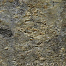 พระปิลันทน์ วัดระฆัง พิมพ์เปลวเพลิงเล็กหลังจาร(#3)