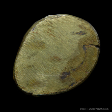 พระพุทธชินราชอินโดจีน