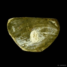 รูปเหมือนลอยองค์ รุ่นแรก หลวงพ่อโบ วัดโคกบางชะนี อยุธยา