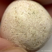 ลูกอมหลวงพ่อแก้ว วัดป่าฝ้าย (วัดบ่อฝ้าย) 