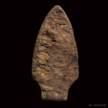 ว่านหน้าทองปางเปิดโลก