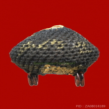 เบี้ยแก้ หลวงปู่เจือ วัดกลางบางแก้ว