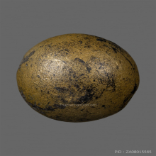 ลูกอมผงยาดำเจ็ดพญาช้างสาร หลวงพ่อดิ่ง วัดบางวัว