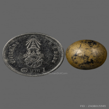 ลูกอมผงยาดำเจ็ดพญาช้างสาร หลวงพ่อดิ่ง วัดบางวัว