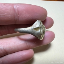 แหวนหลวงพ่อเต๋ คงทอง 