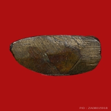 พระขัยวัฒน์ท่านเจ้ามา พิมพ์เศียรทุย วัดสามปลื้ม 