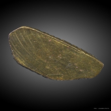 หลวงพ่อมุ่ย วัดดอนไร่ รูปหล่อรุ่น 2