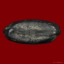 พระปิดตาหลวงพ่อเชย วัดท่าควาย พิมพ์สองหน้า จ.สิงห์บุรี 