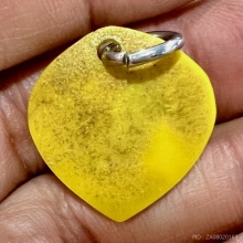 ปลาตะเพียน เนื้อเงิน พ่อจง ตัวเล็กสวยสมบูรณ์หายาก