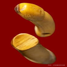 ปลัดขิกหลวงพ่ออี๋ วัดสัตหีบ เนื้องาแกะ