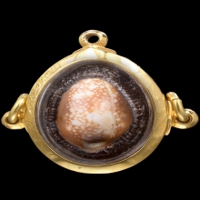 เบี้ยแก้หลวงพ่อภักดิ์ วัดโบสถ์