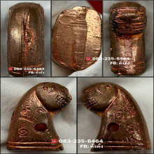 เสือหลวงพ่อวงษ์ วัดปริวาส รุ่น6 (หูจุดนิยม) สวยแชมป์โลก 