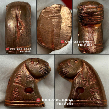 เสือหลวงพ่อวงษ์ วัดปริวาส รุ่น6 (หูจุดนิยม) สวยแชมป์โลก 