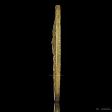 เหรียญทองคำ เสด็จเตี่ย กรมหลวงชุมพรฯ รุ่นหลักเมืองชุมพร ๒๕๓๕