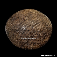 เบี้ยแก้ หลวงปู่รอด วัดนายโรง