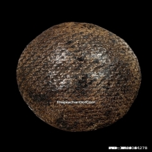 เบี้ยแก้ หลวงปู่รอด วัดนายโรง