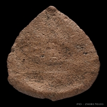 พระกลีบบัว กรุวัดลิงขบ กรุงเทพฯ 