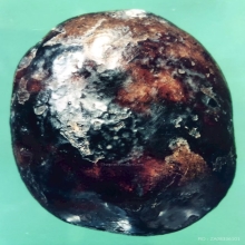 พระปิดตาหลวงปู่จีน วัดท่าลาด  พิมพ์แข้งหมอนใหญ่ จ.ฉะเชิงเทรา