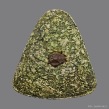 พระผงเจริญพร หลวงปู่ทิม วัดละหารไร่ ปี2517 เนื้อผงพรายกุมาร 